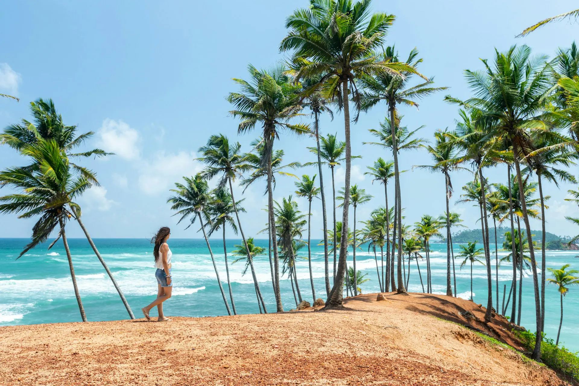 Palm trees on Coconut Tree Hill above the sea in Mirissa